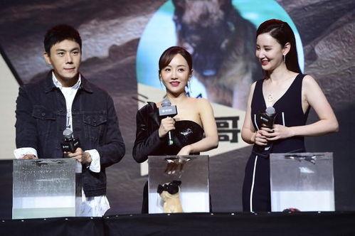 吃瓜明星爆料合集吃瓜,吃瓜明星爆料合集大揭秘