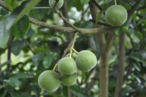 秋末吃瓜小说,一场穿越时空的奇幻冒险