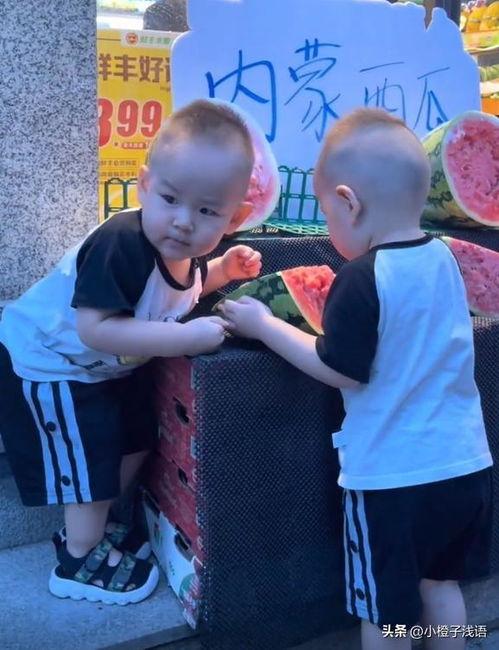 吃瓜 双胞胎,揭秘娱乐圈背后的秘密