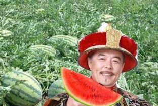 皇帝吃瓜后杀瓜农,一场荒诞的宫廷悲剧