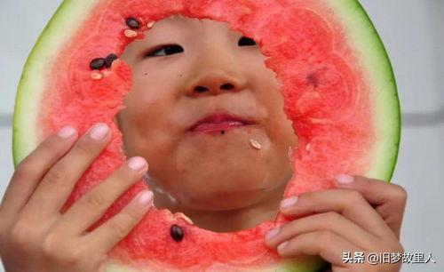 热情的吃瓜网友,吃瓜网友的热情追踪