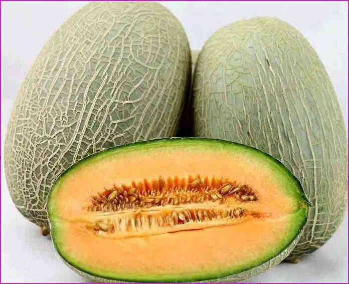吃木瓜可以吃哈密瓜吗