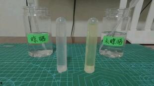 吃瓜养龟,揭秘龟类健康饮食与生活照料之道