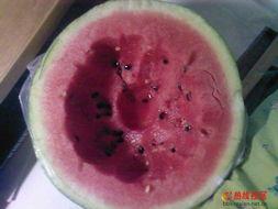 吃瓜创意美术,色彩斑斓的瓜界奇幻之旅