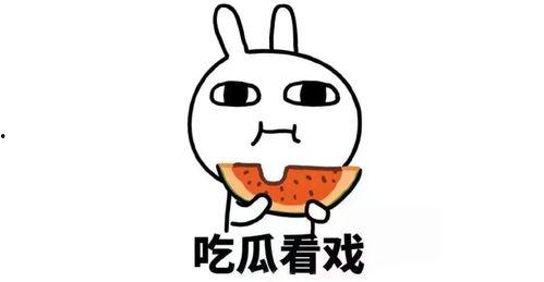 吃瓜群求分享,一起分享那些让人捧腹大笑的趣事